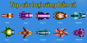 Top Các Loại Súng Bắn Cá Mà Thợ Săn Thường Sử Dụng Nhất